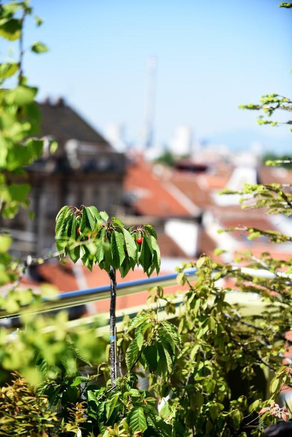 Zagreb Rooftops エクステリア 写真